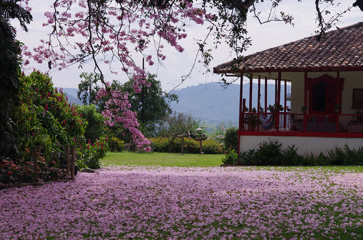 Casa principal Hacienda Venecia