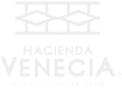 logo hacienda venecia blanco